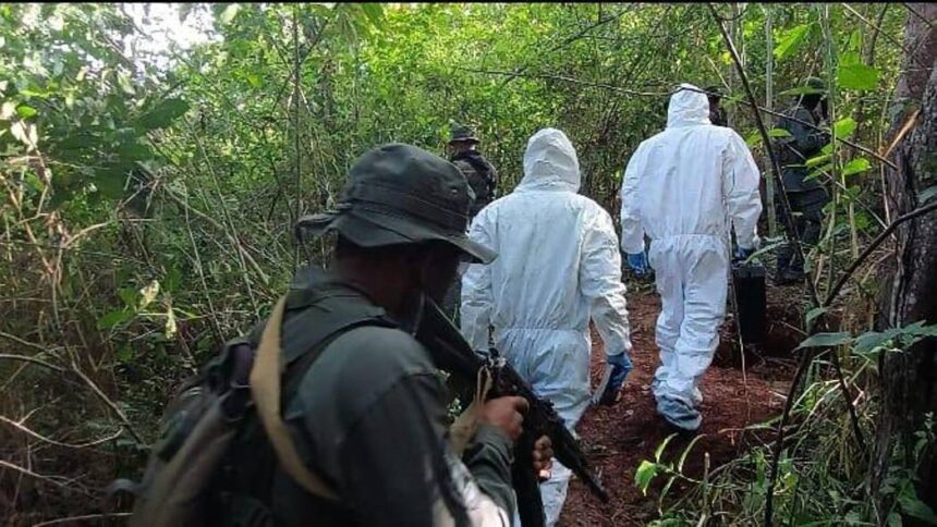 Consiguen "osamenta en fosa" de campamento de minería ilegal en Canaima|||