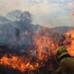 Altas temperaturas podrían desencadenar incendios forestales en al menos ocho estados