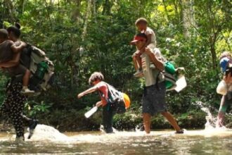 La violencia en el Darién «ya es insólita» y que cada vez se registran más ataques y abuso sexual contra los migrantes. Así lo a