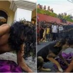 Un perro callejero se ha hecho viral, en las redes sociales, por “consolar” al actor que interpretó a Jesús durante un viacrucis en Guatemala