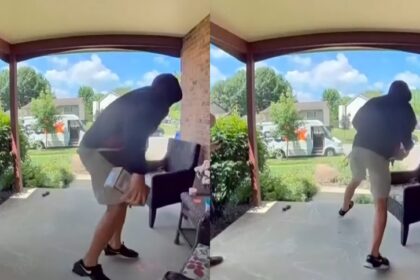 En las redes sociales se viralizó un video que muestra el insólito robo de un paquete, después de que el repartidor lo entregó en Ohio