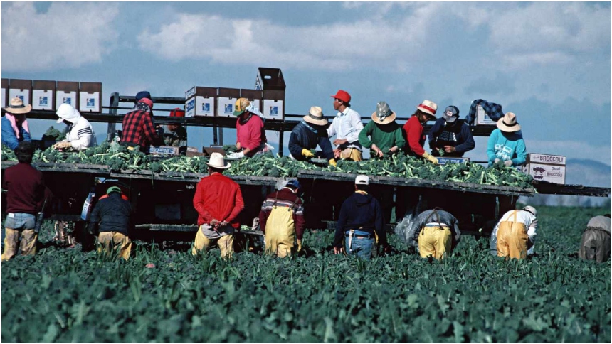 Los migrantes indocumentados representarían un aporte multimillonario para las arcas de Estados Unidos, según el más reciente estudio del Instituto de Impuestos y Política Económica (ITEP, por sus siglas en inglés). 